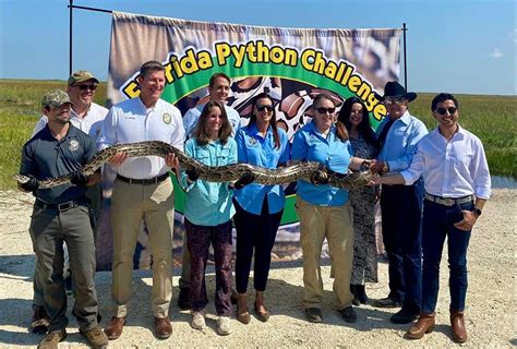 florida python challenge 2024|More.